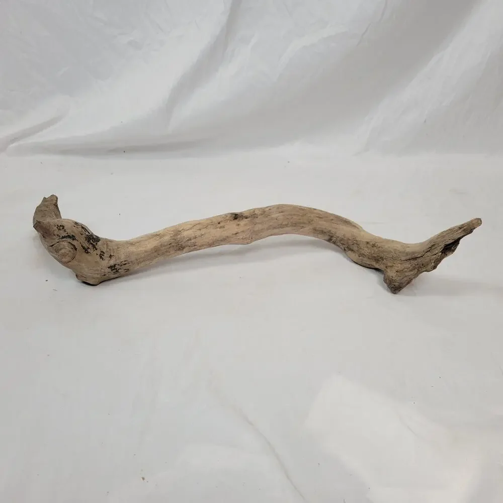 Ohio River Driftwood 26